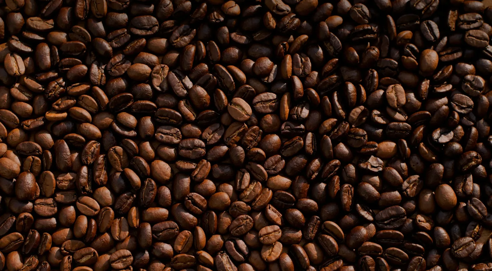 Il caffè nasce dal fuoco, non dalla fretta